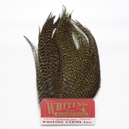 Whiting Bugger Pack Grizzly dyed Dark Olive